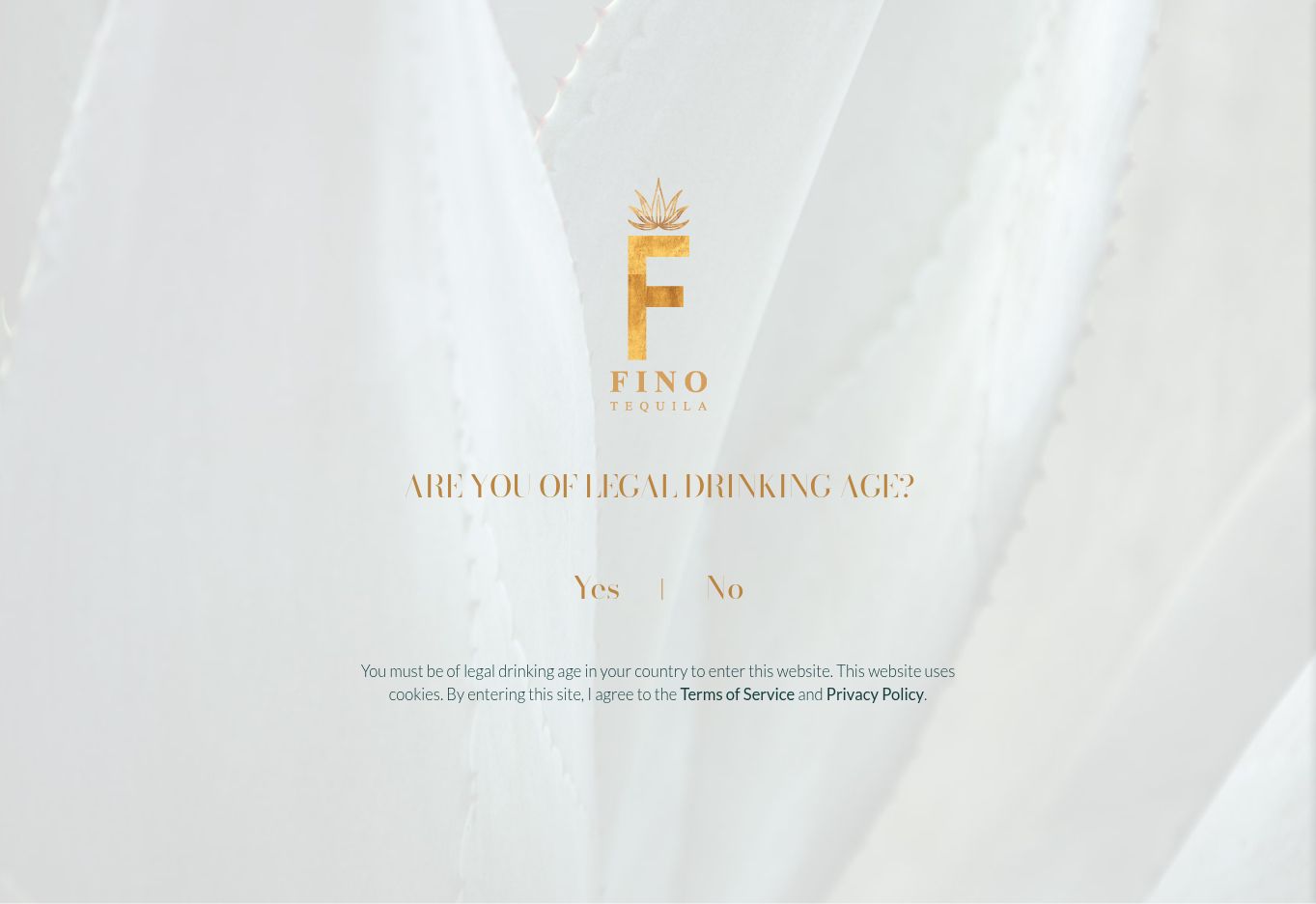 FINO Tequila age-gated entry experience