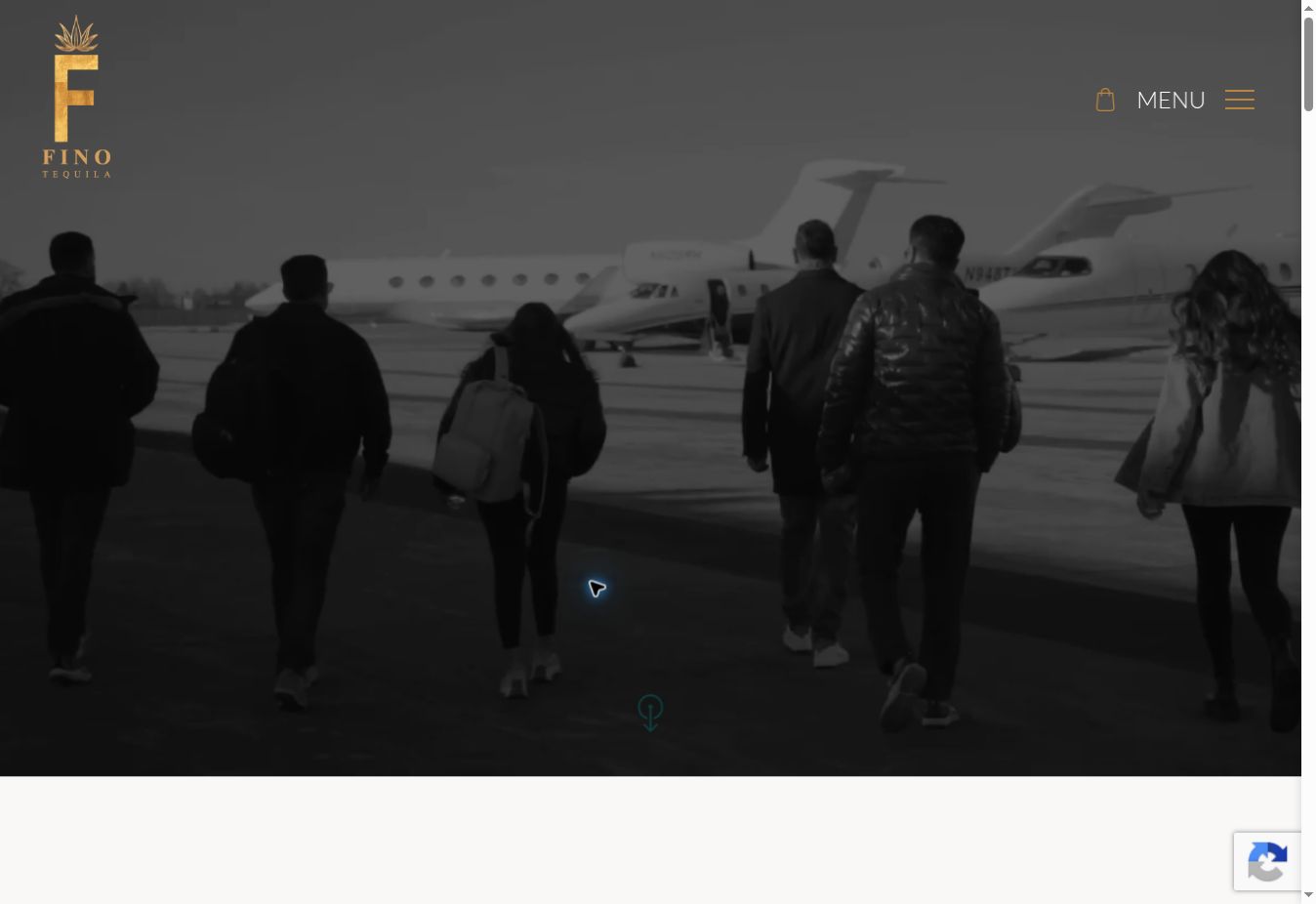 FINO Tequila desktop website